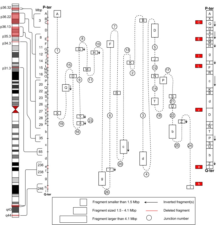 Fig 2