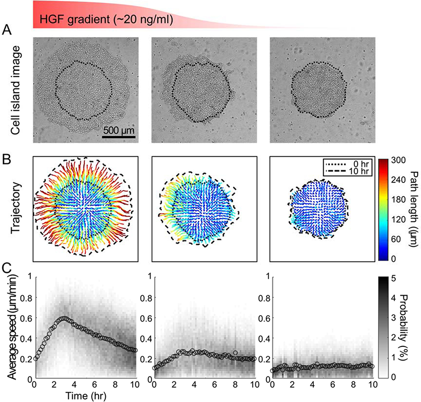 Figure 4: