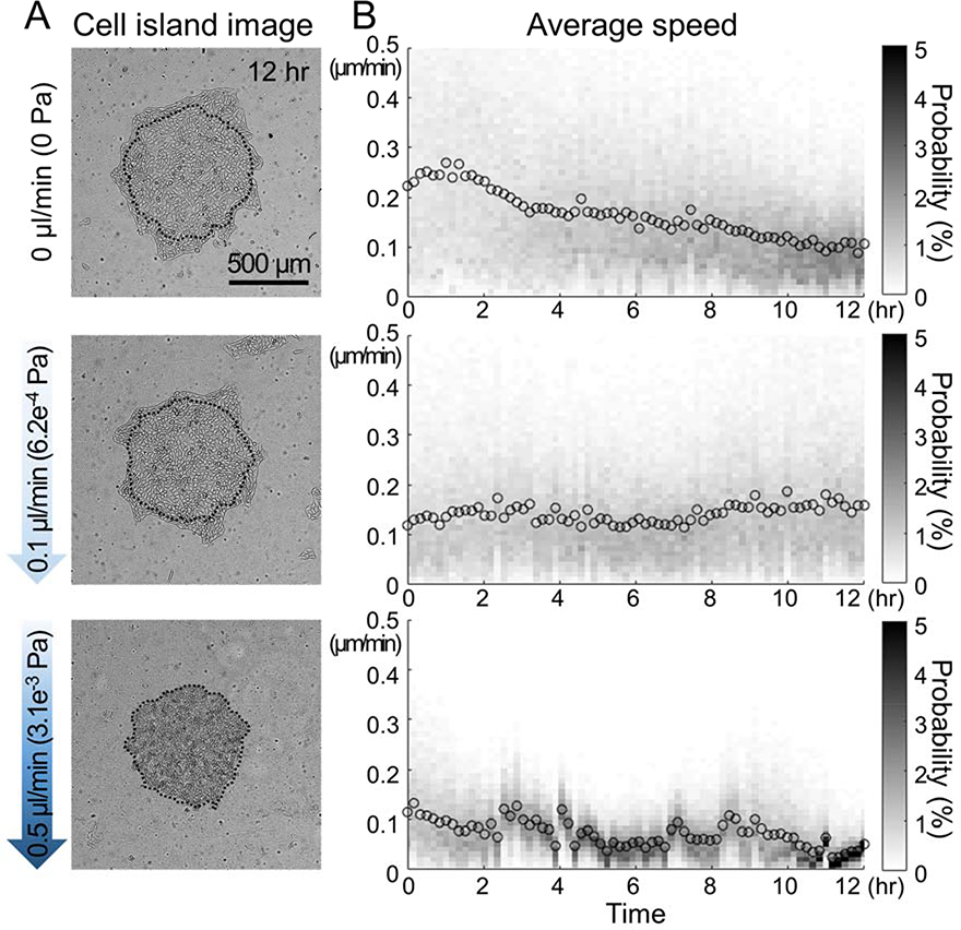 Figure 3: