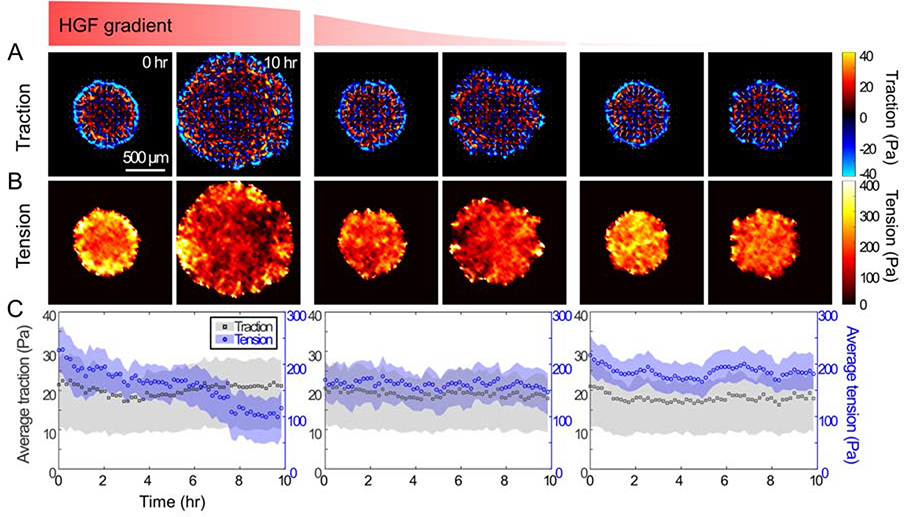 Figure 5: