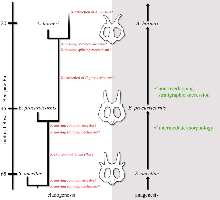 Figure 12.