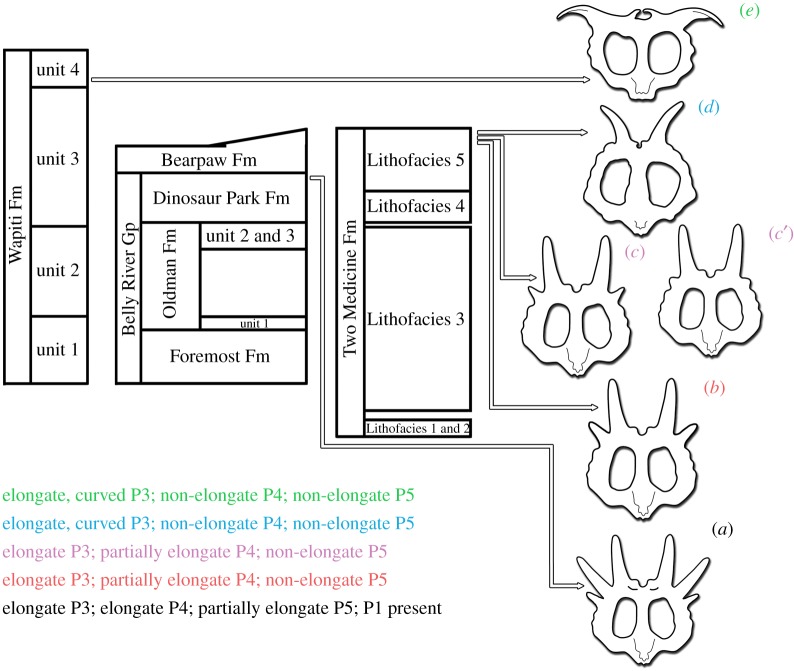 Figure 11.