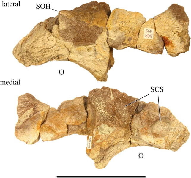 Figure 7.