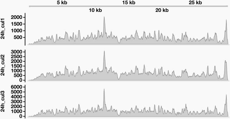 Figure 3.