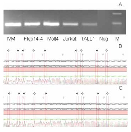 Supplemental Figure 1