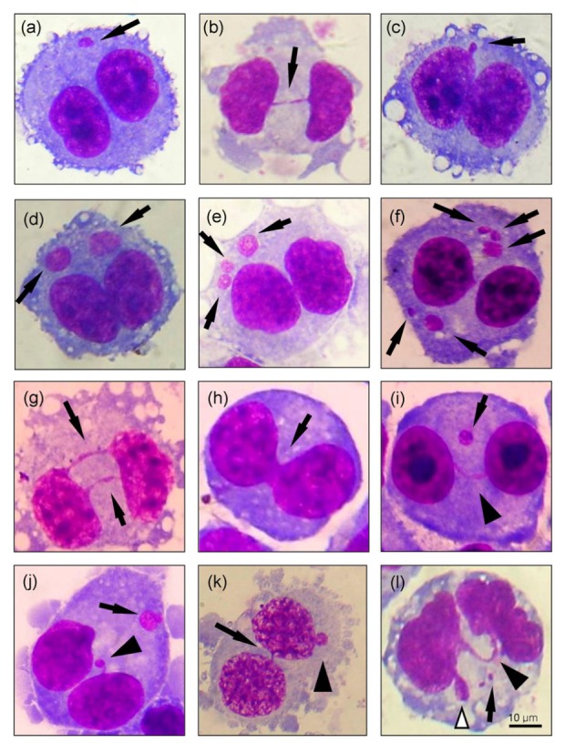 Fig. 2