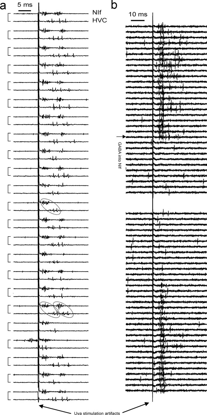 Figure 10.