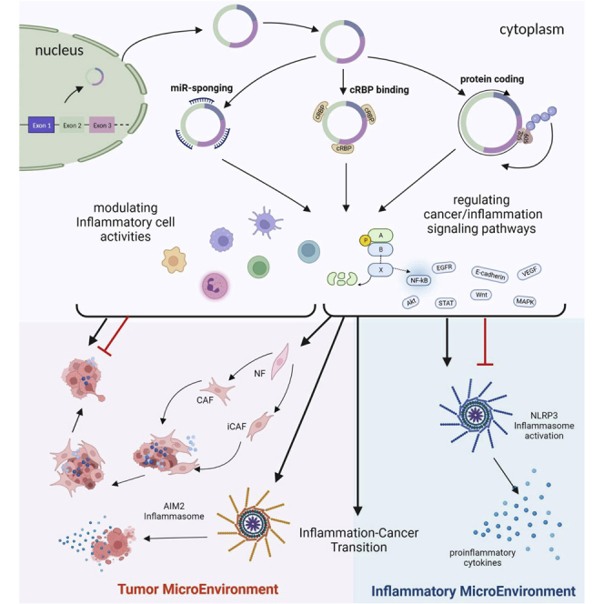 graphic file with name fx1.jpg