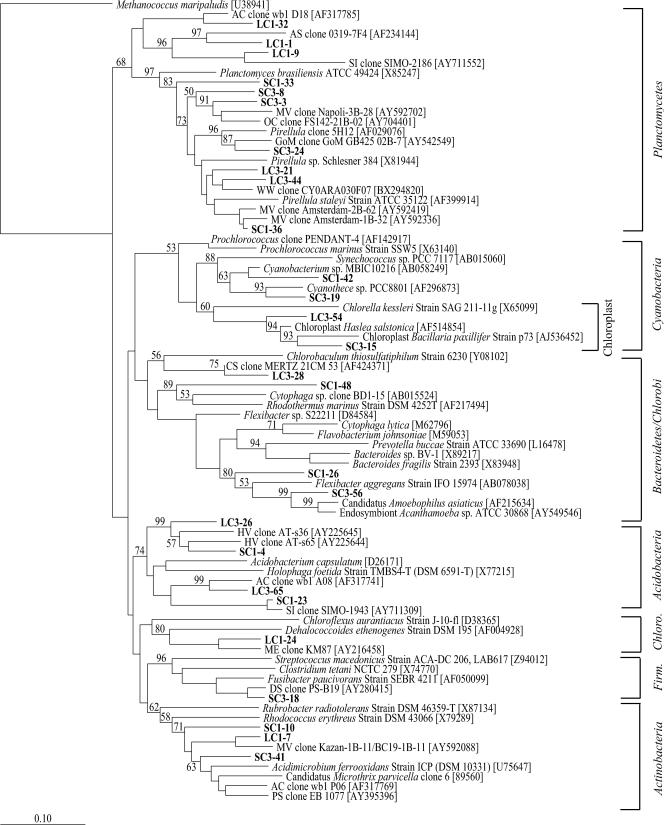 FIG. 4.