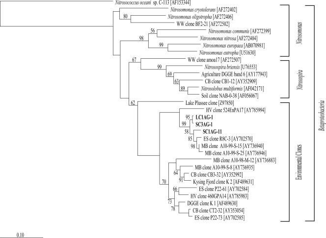 FIG. 6.