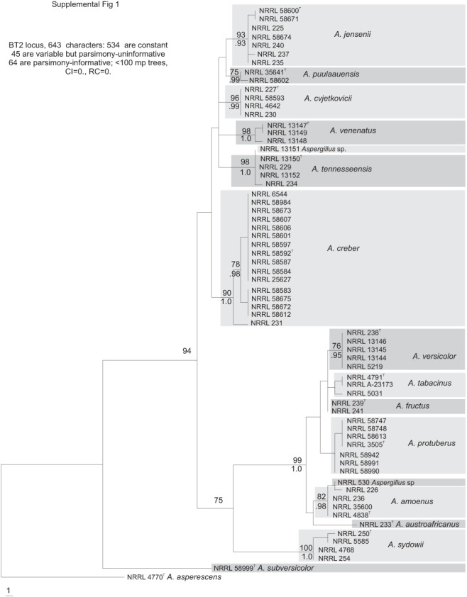 Fig. S1.