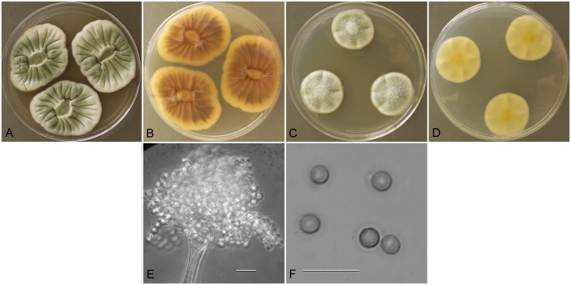 Fig. 2.