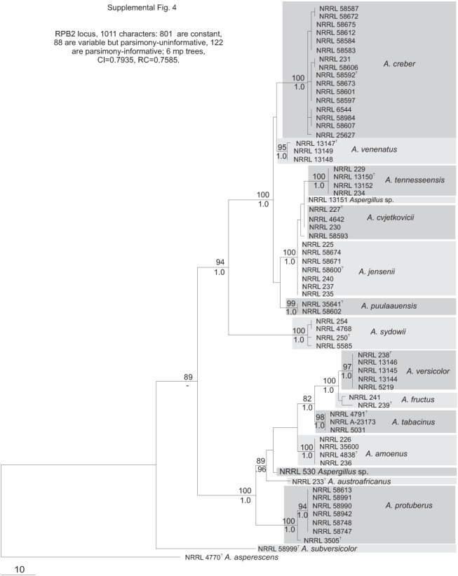 Fig. S4.