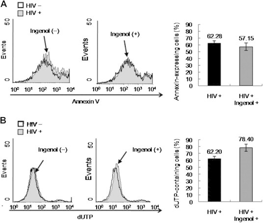 Figure 4