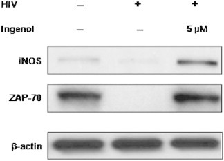 Figure 5