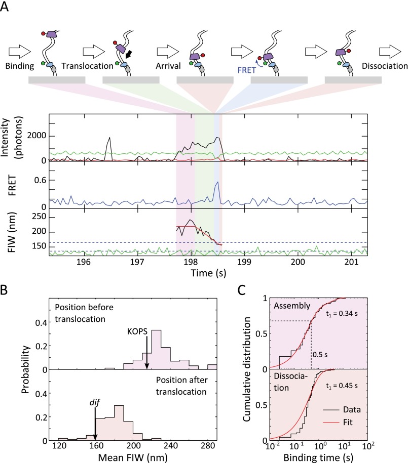 Fig. S4.