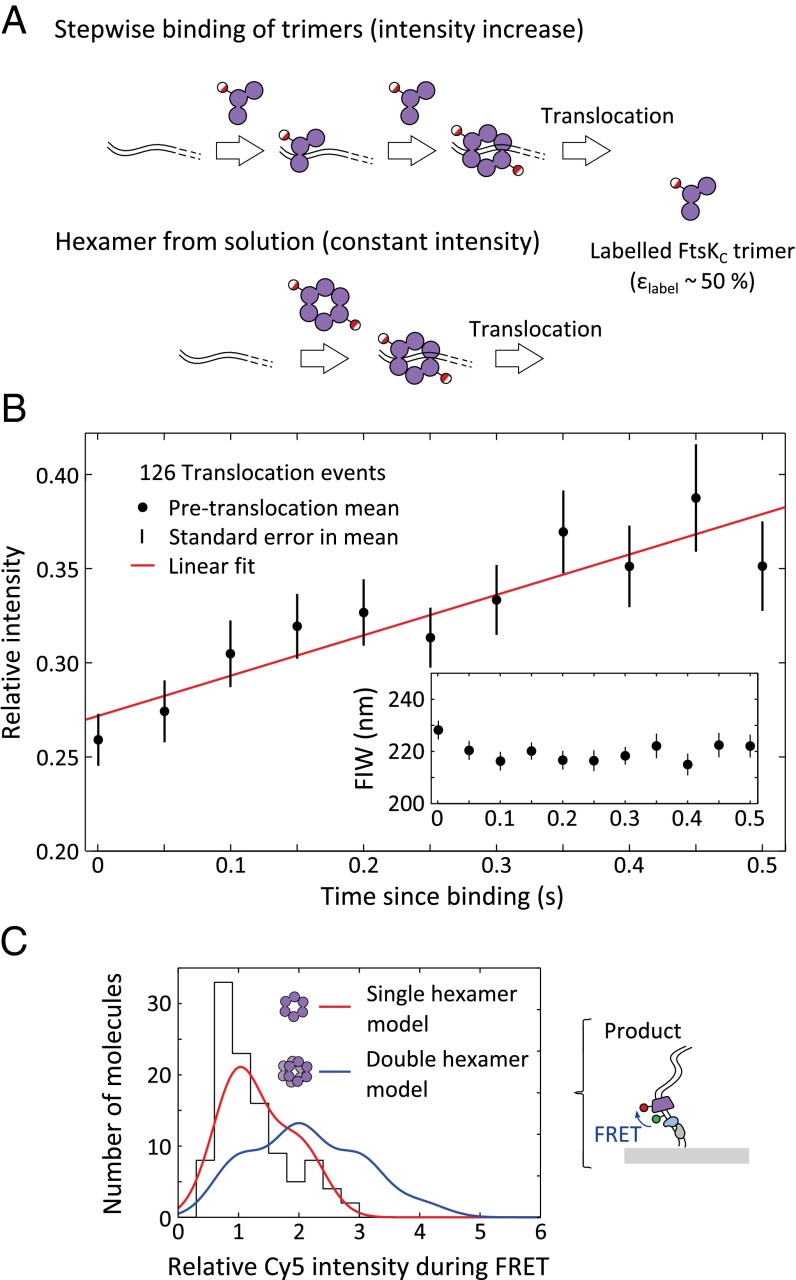 Fig. 3.