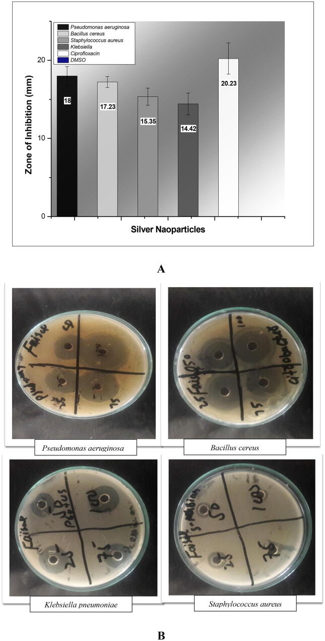 Fig. 7