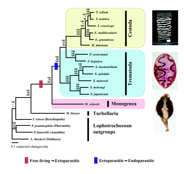 Figure 2