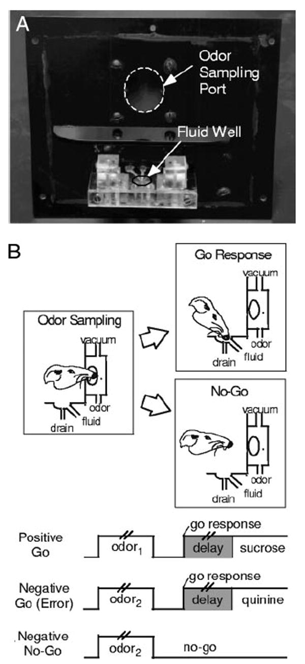 Fig. 1