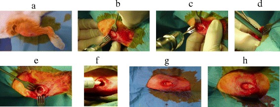 Fig. 10