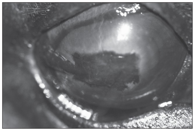 Figure 7