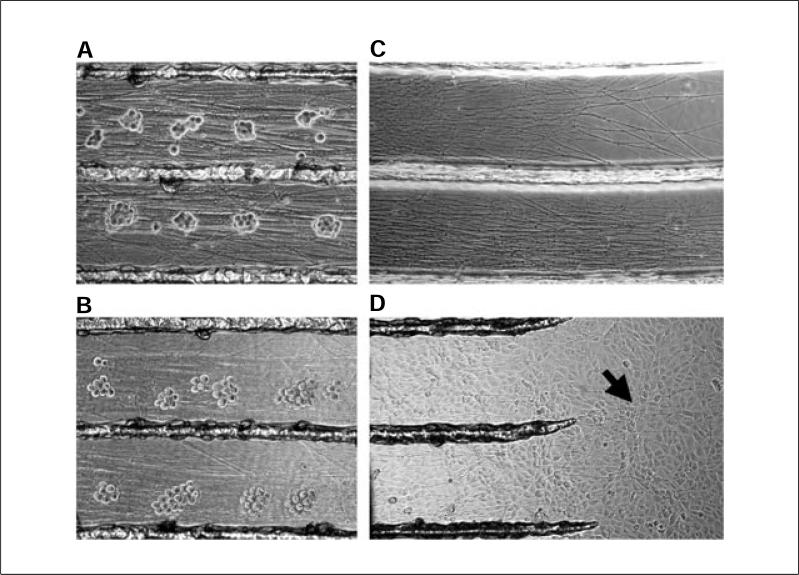 Figure 26.4.3