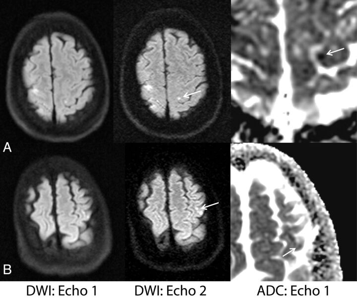 Fig 5.