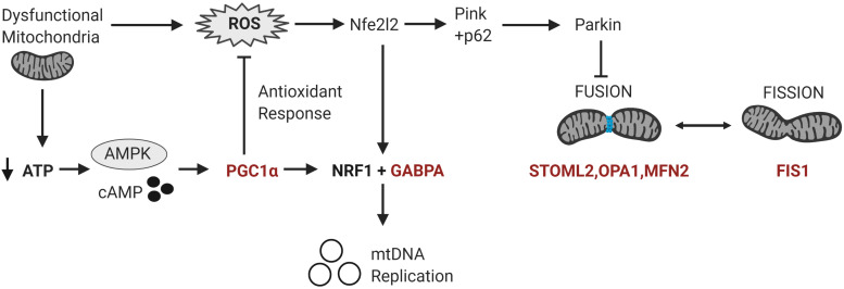 FIGURE 3