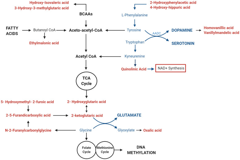 FIGURE 6