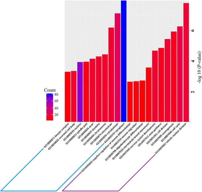 Fig. 2