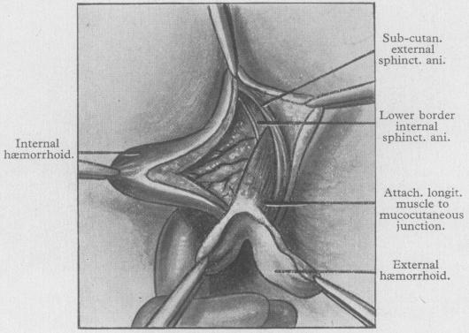 FIG. 8