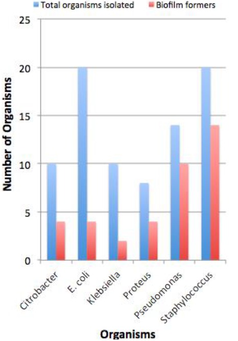 Figure 1: Comparison of biofilm-forming organisms