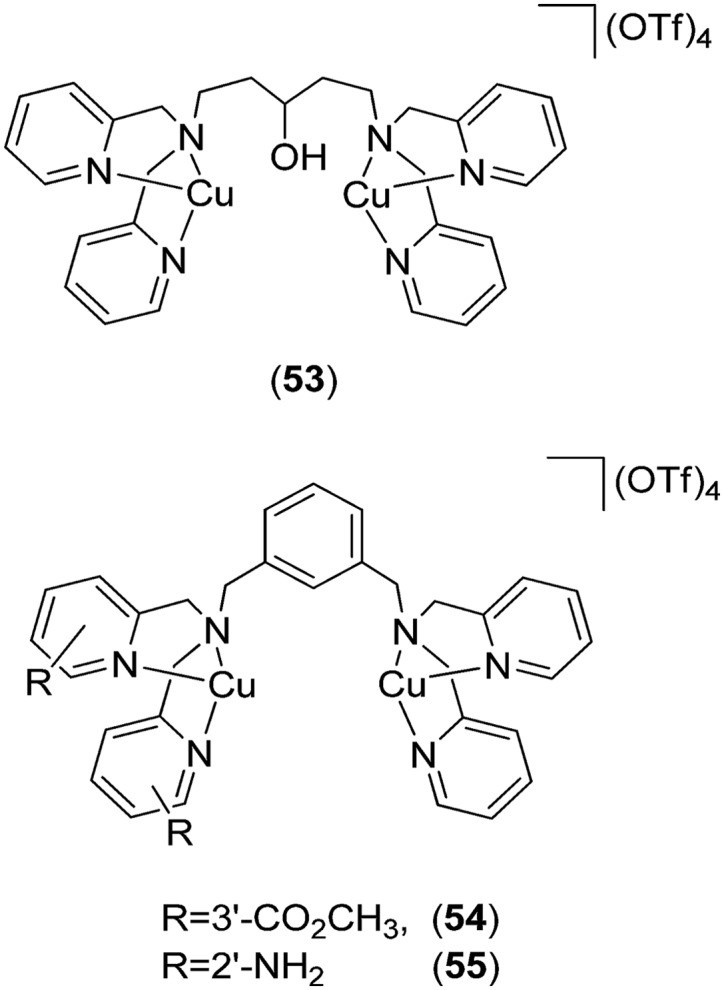 Fig. 21