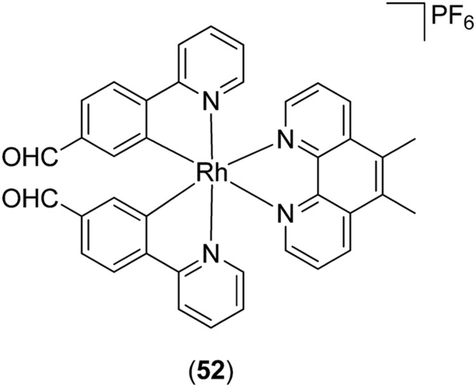 Fig. 20