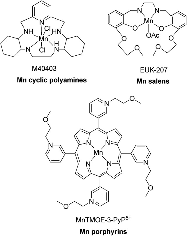 Fig. 24