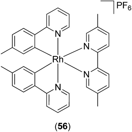 Fig. 22