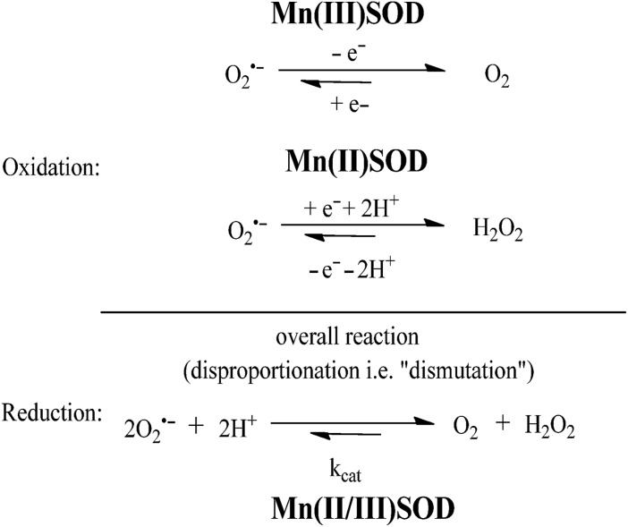 Fig. 23