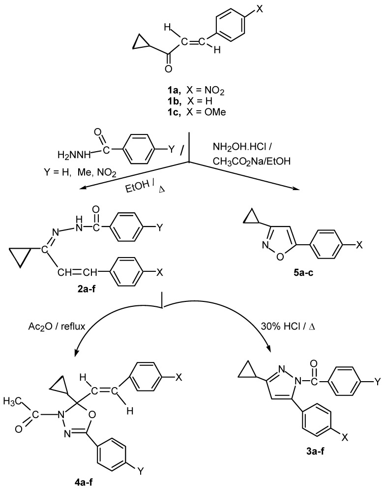 Scheme 1