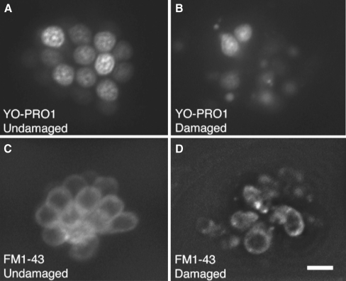 FIG. 1