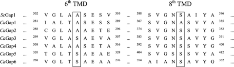 Fig. 6.