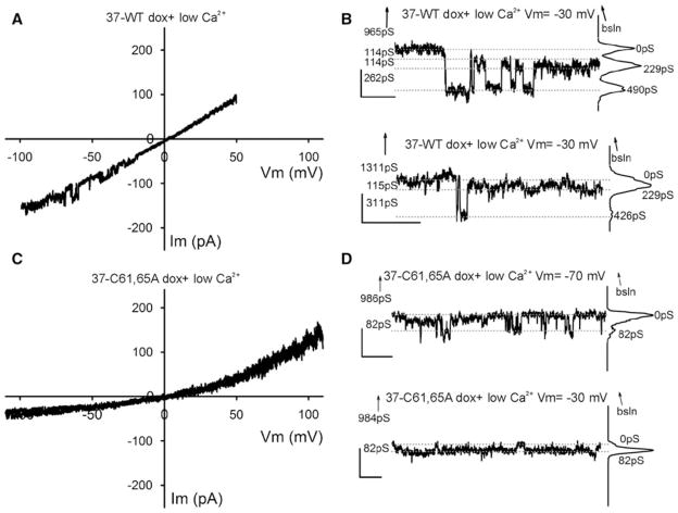 Fig. 6