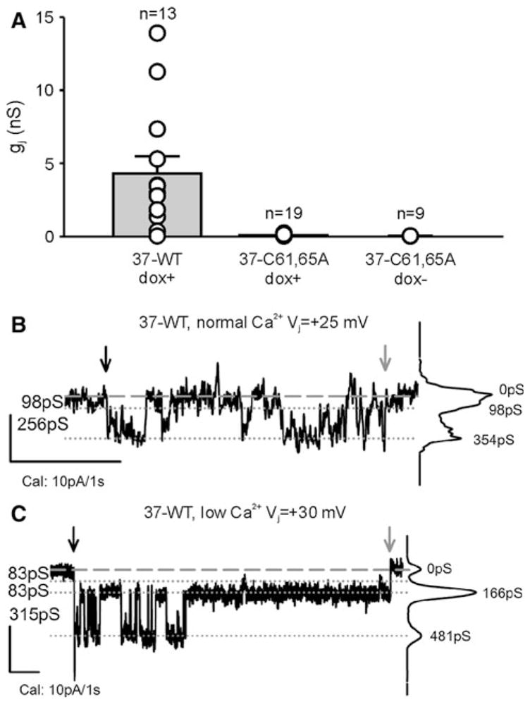 Fig. 4