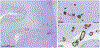 Figure 1 |