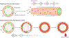 Figure 2 |