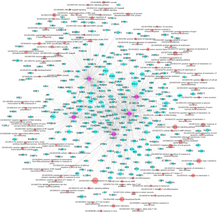 Figure 2: