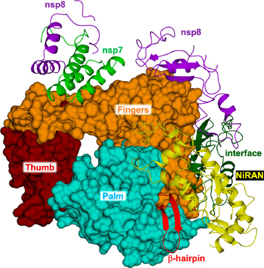 Figure 15