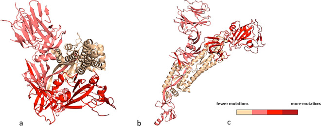 Figure 12