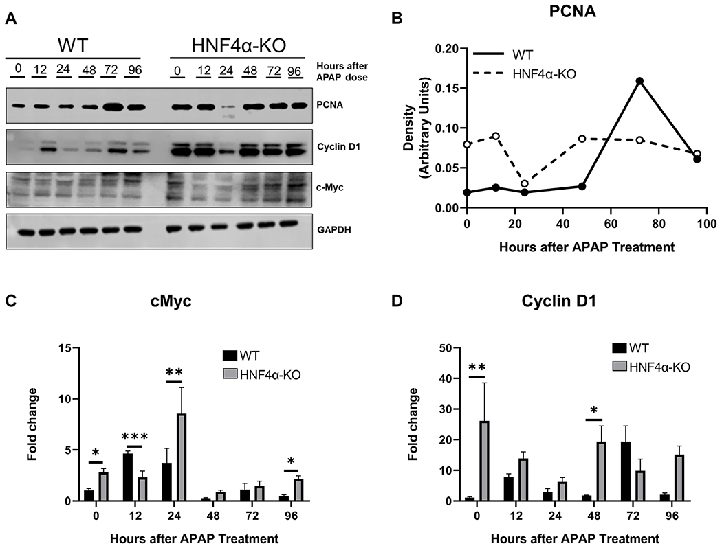 Figure 4: