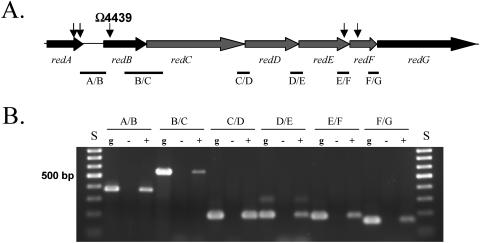 FIG. 1.